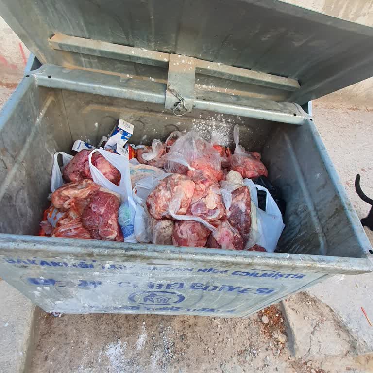 Siemens Derin Dondurucu Arızası Yüzünden 45 Kilo Etim Bozuldu