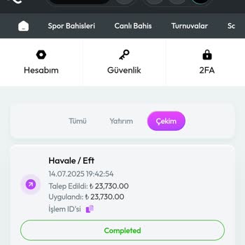 Zlot Onaylanan Ödememin Hesabıma Ulaşmaması Nedeniyle Yaşadığım Mağduriyet