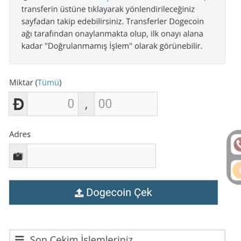 Koinim.com Hesabımdaki Coinlerime Ulaşamıyorum, Destek Yanıt Vermiyor