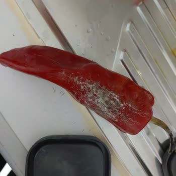 Satın Alınan İkinci El Buzdolabının Arızası Ve Servis Sorunu Nedeniyle Mağduriyet