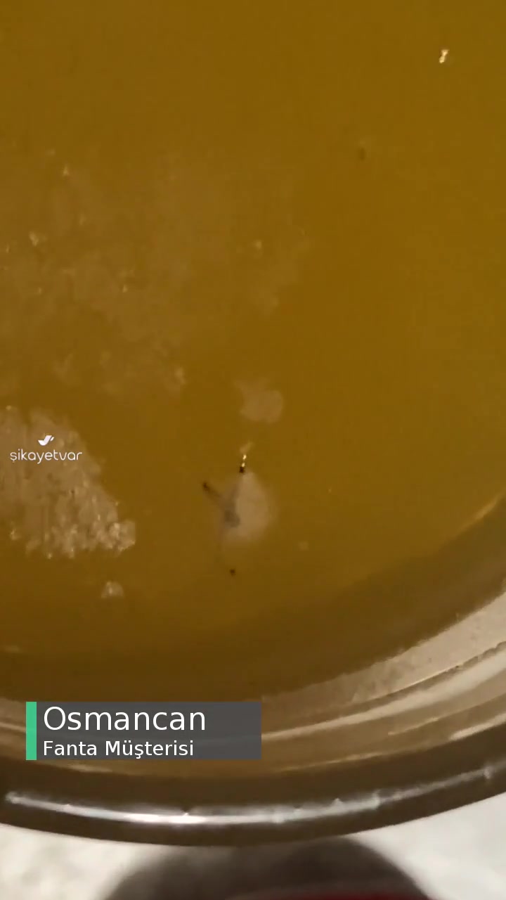 1 Haftalık Fantada Kurt Çıktı Üstelik Alır Almaz Dolaba Koydum videonun kapak resmi