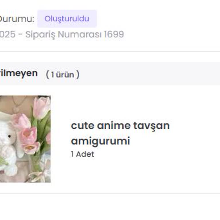 Teslimat Gecikmesi Ve İletişim Sorunu Nedeniyle İade Talebi