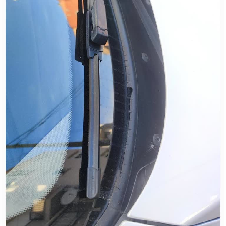 BMW 116D Ön Cam Fitilinin Çürümesi Ve Servis Desteği Talebi