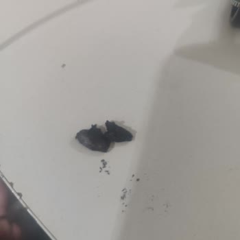 Parliament Night Blue Sigarasında Yabancı Madde Sorunu