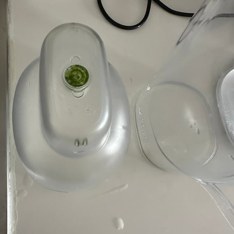 Brita Sürahide Oluşan Yosun Sorunu Ve Temizlikte Yaşanan Zorluk