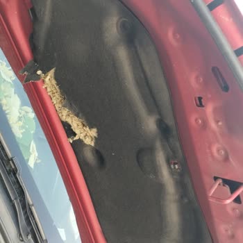 Clio 5 Joy Kaput Aşırı Isınma Sorunu Endişelendiriyor