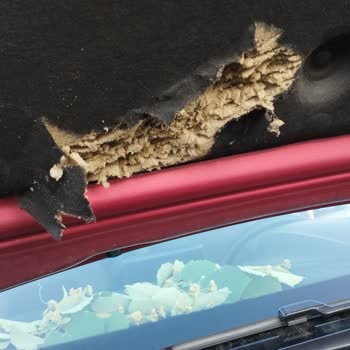 Clio 5 Joy Kaput Aşırı Isınma Sorunu Endişelendiriyor