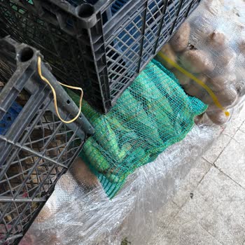 Eski Ve Pahalı Ürünler İle İlgisiz Personel Sorunu