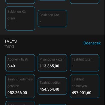 Bridgewater Türkiye Mağduriyet Yaşama
