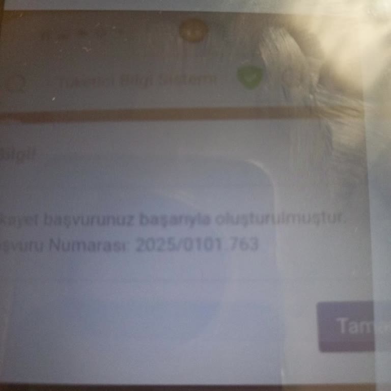 Sıfır Aldığım Buzdolabı Bozuk Çıktı, Servisten Cevap Alamıyorum