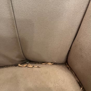 BigChefs Turgutreis Marina'da Yavaş Servis Ve Kötü Hijyen Deneyimi