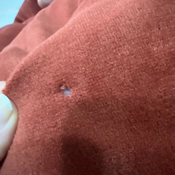 Karaca Yatak Örtüsünden Çıkan Tüyler Hayal Kırıklığı Yaşattı