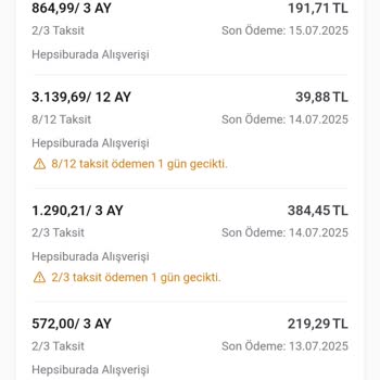 Erken Yapılan Taksit Ödemesi Sistemde Görünmüyor Ve Gecikme Faizi Endişesi