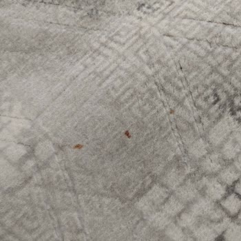 Yıkanmayan Halı Ve Kötü Müşteri Hizmeti Deneyimi