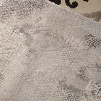 Yıkanmayan Halı Ve Kötü Müşteri Hizmeti Deneyimi