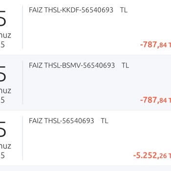 Esnek Hesapta Fazla Faiz Kesintisi Ve İade Talebi