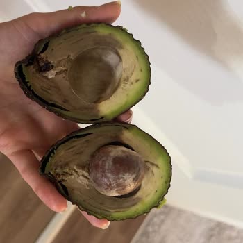 Sipariş Ettiğim Tüm Avokadolar Çürük Çıktı, İade Veya Çözüm Sunulmadı