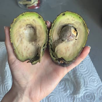 Sipariş Ettiğim Tüm Avokadolar Çürük Çıktı, İade Veya Çözüm Sunulmadı