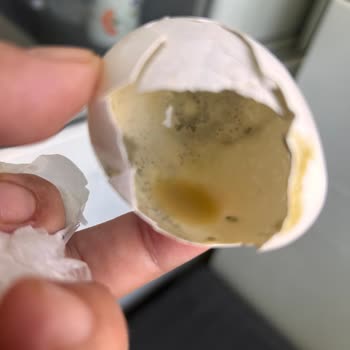 Carrefour'dan Aldığım Yumurtanın Bozuk Çıkması Ve Yaşadığımız Olumsuz Deneyim