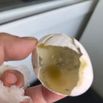 Carrefour'dan Aldığım Yumurtanın Bozuk Çıkması Ve Yaşadığımız Olumsuz Deneyim