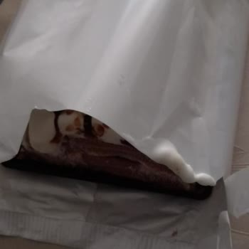 Mis Dondurma Ambalajı Çok İnce, Saklama Zorluğu Yaşanıyor