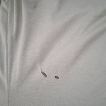 Bosch Çamaşır Makinesi Kıyafetleri Yırtıyor, Servis Sorunu Çözemiyor