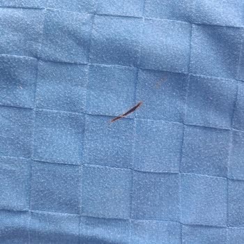 Bosch Çamaşır Makinesi Kıyafetleri Yırtıyor, Servis Sorunu Çözemiyor