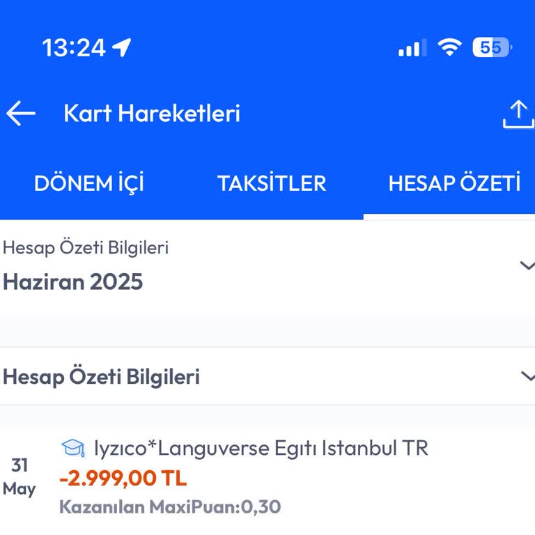 Languverse Habersiz Para Çekimi ve İade Sorunu