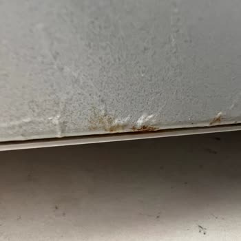 Siemens Buzdolabında 2,5 Yılda Kapak Çürümesi Ve Yetersiz Destek