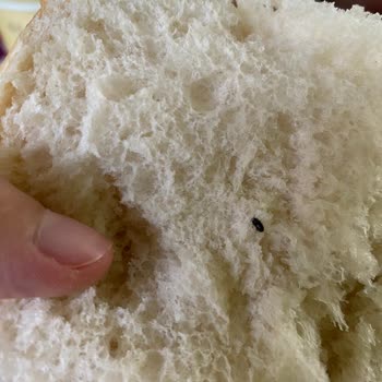 A-101'de Son Kullanma Tarihi Geçmiş Ve Bozuk Ürünler Kabusu