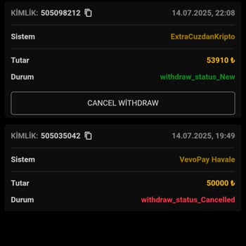 Para Çekme Talebim Gecikti, Destek Yetersiz Ve Bilgilendirme Yok