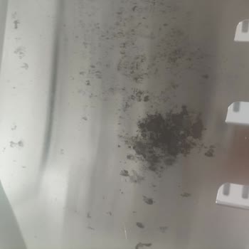 Beko Derin Dondurucuda Paslanma Ve Servis Randevusu İptali Mağduriyeti