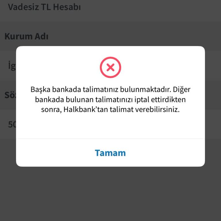 İptal Edilen Otomatik Ödeme Talimatı Nedeniyle Yeni Talimat Veremiyorum