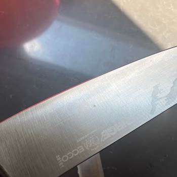 Pirge Bıçak Setinde Paslanma Ve Kırılma Şoku