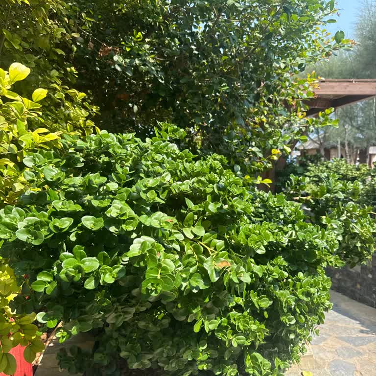 Otelde Temizlik Ve Hizmet Sorunlarıyla Hayal Kırıklığı