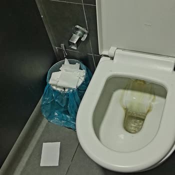 Alaçatı'daki Petrol Ofisi'nin Tuvaleti Hijyen Sorunu Yaşatıyor