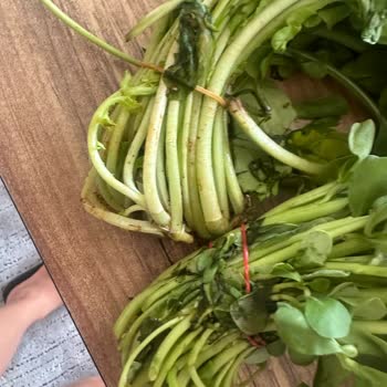 Migros Sanal Marketten Sürekli Kötü Gelen Yeşillikler Ve Çözümsüz Şikayetler