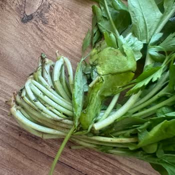 Migros Sanal Marketten Sürekli Kötü Gelen Yeşillikler Ve Çözümsüz Şikayetler