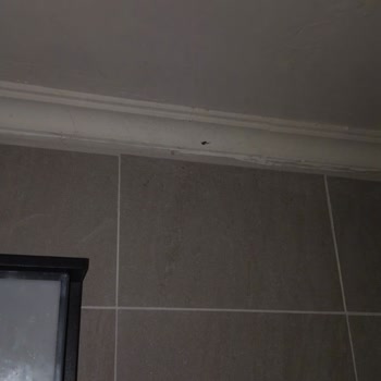 Bodrum'da Kötü Hijyen Ve Yetersiz Hizmet Deneyimi