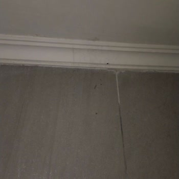 Bodrum'da Kötü Hijyen Ve Yetersiz Hizmet Deneyimi