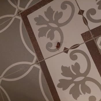 Bodrum'da Kötü Hijyen Ve Yetersiz Hizmet Deneyimi