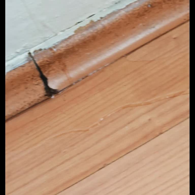 TCL Klima Sürekli Su Sızdırıyor, Servis Sorunumu Çözemiyor!