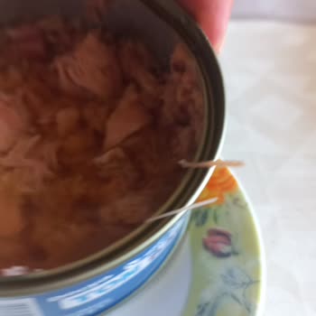 BİM Derya Marka Ton Balığında Kılçık Sorunu Ve Sağlık Riski