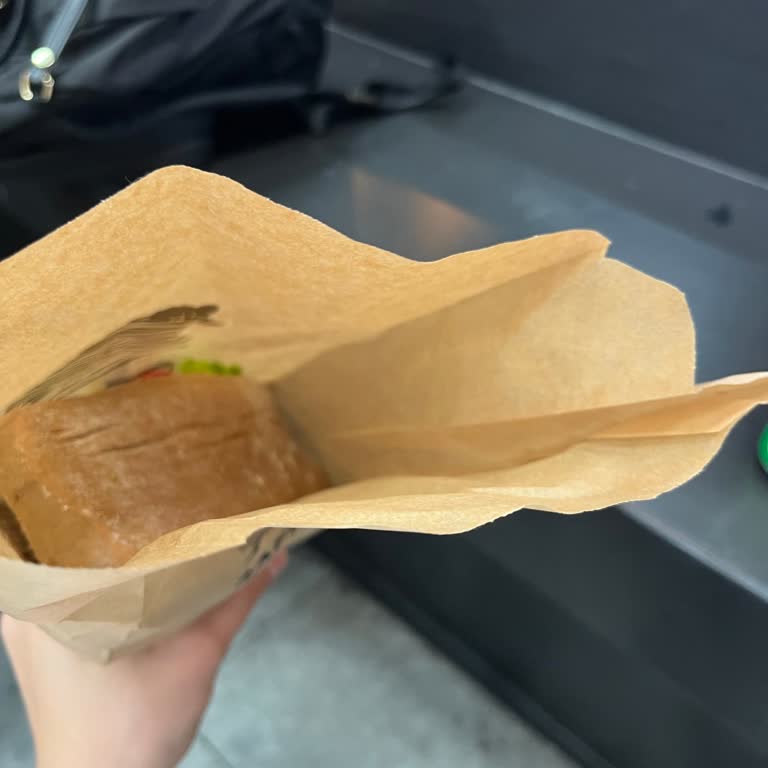 Ajet'in Plansız Uçuş İptali Ve Yetersiz Destek