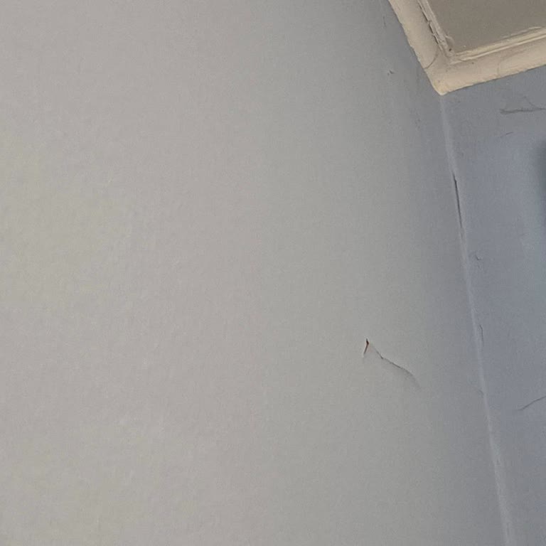 Booking.com Üzerinden Kiralanan Evde Rutubet Ve Temizlik Sorunları, Yetersiz Destek