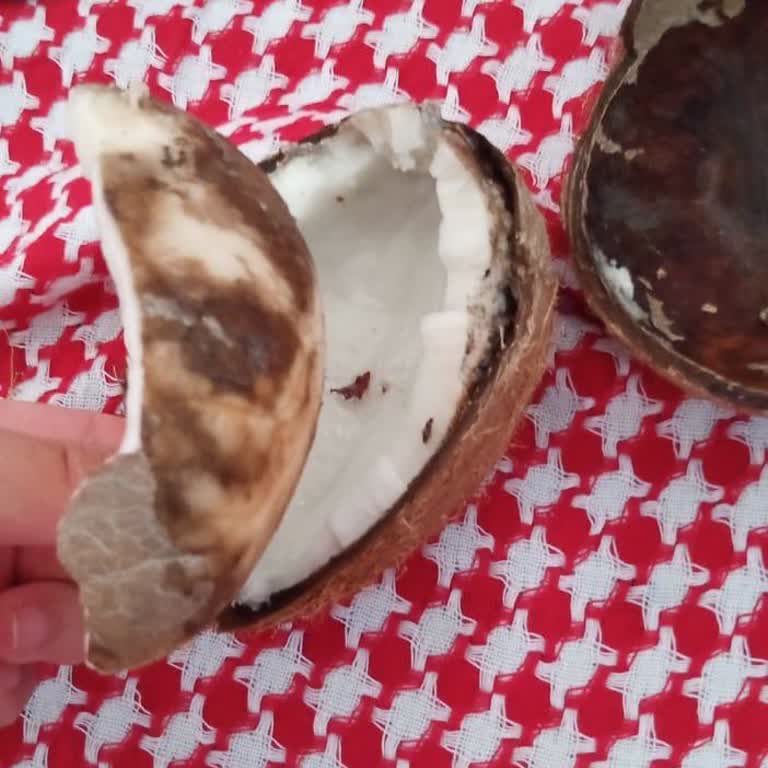 Bozuk Hindistan Cevizi Ve İlgisiz Müşteri Hizmeti