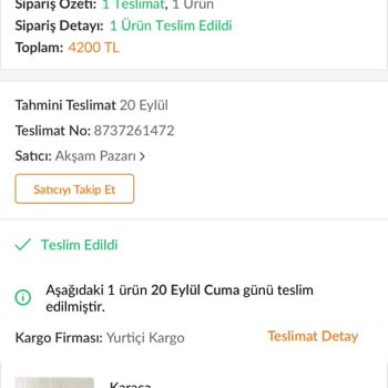 Trendyol Üzerinden Alınan Ürünün Faturasına 1 Aydır Ulaşamıyorum