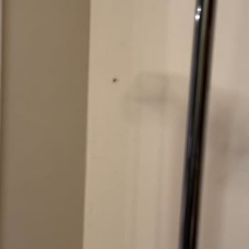 Acil Serviste Hijyen Sorunu Ve Sivrisinek Problemi