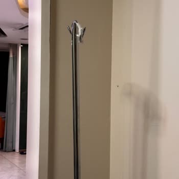 Acil Serviste Hijyen Sorunu Ve Sivrisinek Problemi