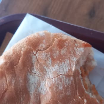 Küflü Hamburger Ekmeği Nedeniyle Sağlık Riski